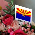3drose, Arizona State Flag, 6 Greeting Cards with Envelopes - Walmart.com