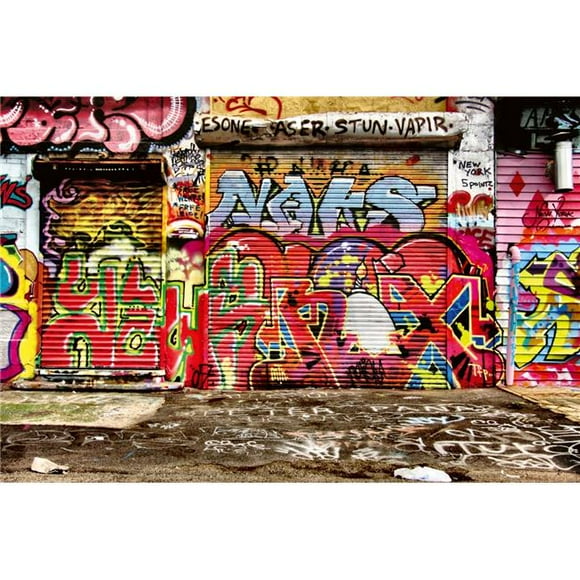 Dimex MS-5-0321 Graffiti Mur de Rue Mural&44; Multi Couleur