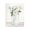 Patience Flower Vase Bouquet, variant on Stupell Industries French Country Patience Flower Vase Canvas Art, 16 x 20, by Kim Allen