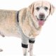 thumbnail image 3 of Coderas ajustables para patas delanteras de perro, protección para recuperación de lesiones quirúrgicas, 1 par, 3 of 5