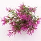 thumbnail image 3 of Billuyoard 5 tenedores, hojas de crisantemo artificiales rurales, hierba, planta en maceta, flores falsas, bonsái, maceta, decoración de boda Artificial Plantas Artificiales Rosa roja Billuyoard HA6744-05B, 3 of 6