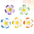 thumbnail image 1 of BRIGHTFUFU 20Ud Accesorios Para El Con Hawaii Para Mujer Con Sujeción, 1 of 8