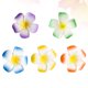 thumbnail image 1 of unbranded 20Ud Pinzas Para Decorativas Hawaii Para Fiesta Y Uso Diario, 1 of 8