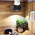 thumbnail image 4 of Luz para Tomar el Sol para Reptiles, 3W UVB5.0 Sulmento de Calcio de Espectro Completo Bombilla de Lámpara de Calor Para Anfibios UVB para Acuario, Tortuga, Lagarto, Serpiente,, 4 of 7