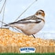 thumbnail image 5 of Maíz partido para alimentación animal CountryMax, bolsa de 22,5 kg, 5 of 5