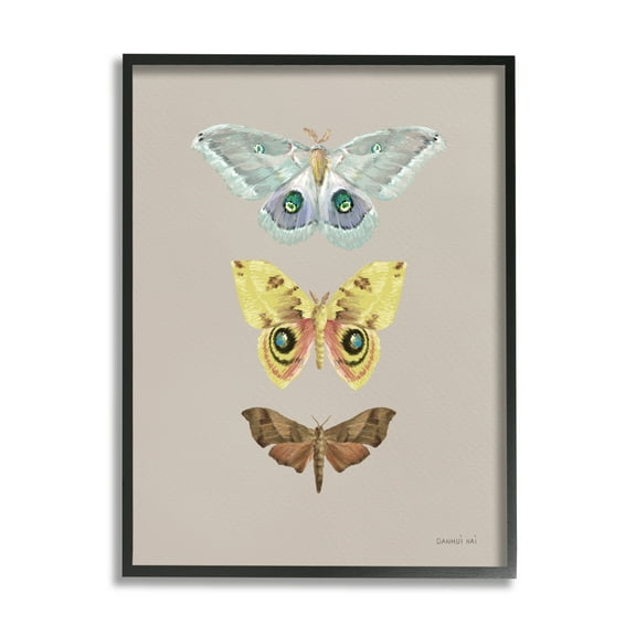 Stupell Industries Vintage Moth Species Animals & Insects Painting Black Framed Art Print Wall Art, 11 x 14