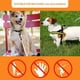 thumbnail image 5 of 1 correa retráctil para perros (verde), correa antienredos con mango antideslizante, cinta de nailon resistente para mascotas, bloqueo y desbloqueo con una mano, 5 of 5