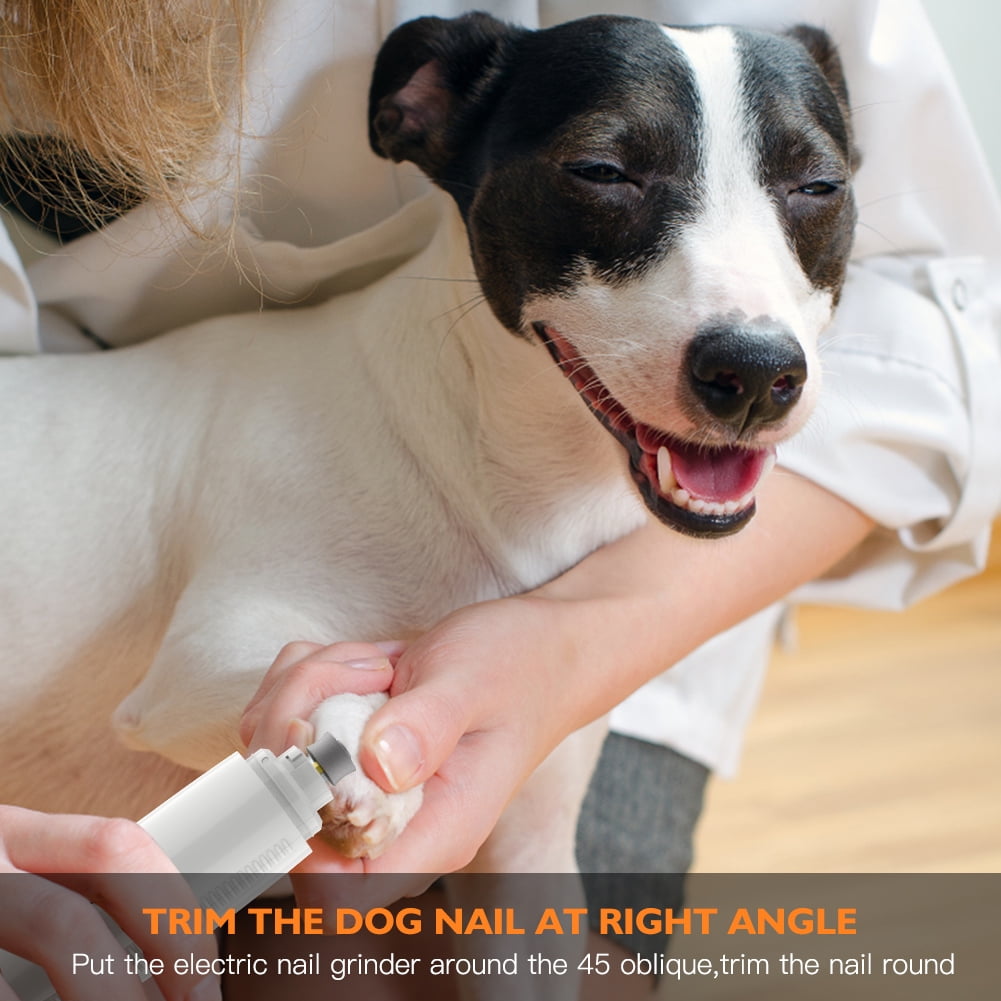 toe nail grinder for dogs