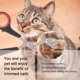 thumbnail image 5 of Tijeras profesionales NQ para cortaúñas de acero inoxidable para gatos y mascotas multicolor, 5 of 5