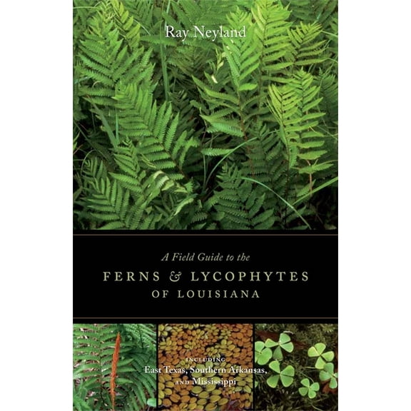 A Field Guide to the Ferns and Lycophytes of Louisiana, (Paperback)