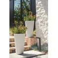thumbnail image 3 of 26TL PLNTR WHITE(X2) - FRENCH, 3 of 14