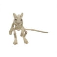 thumbnail image 2 of Official Crazybonez Faux Mouse Skeleton Standing Pose, 2 of 7