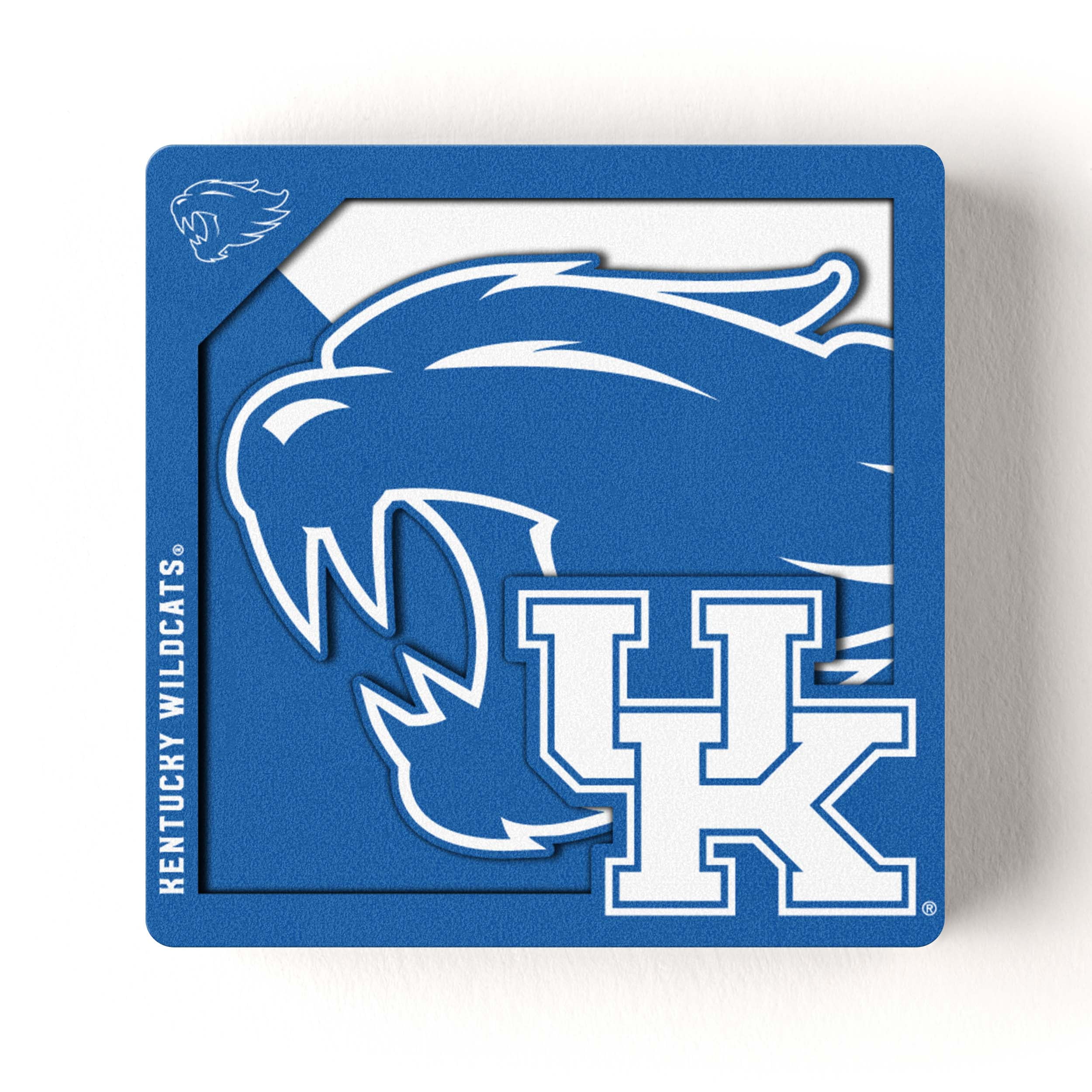 YouTheFan NCAA Kentucky Wildcats 3D Logo Series Magnet