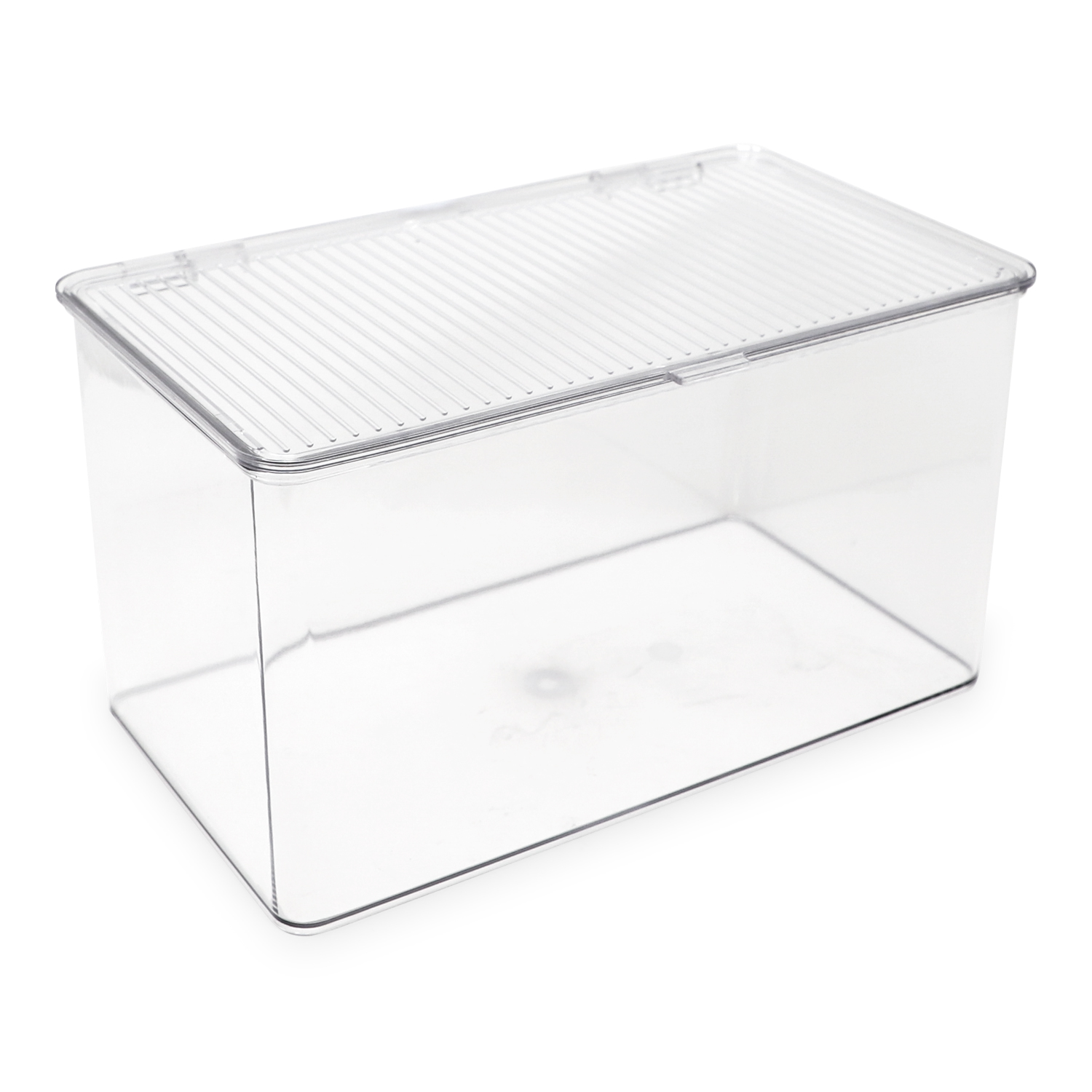 Isaac Jacobs Clear Hinged Storage Container Set, Large, 2-Pack