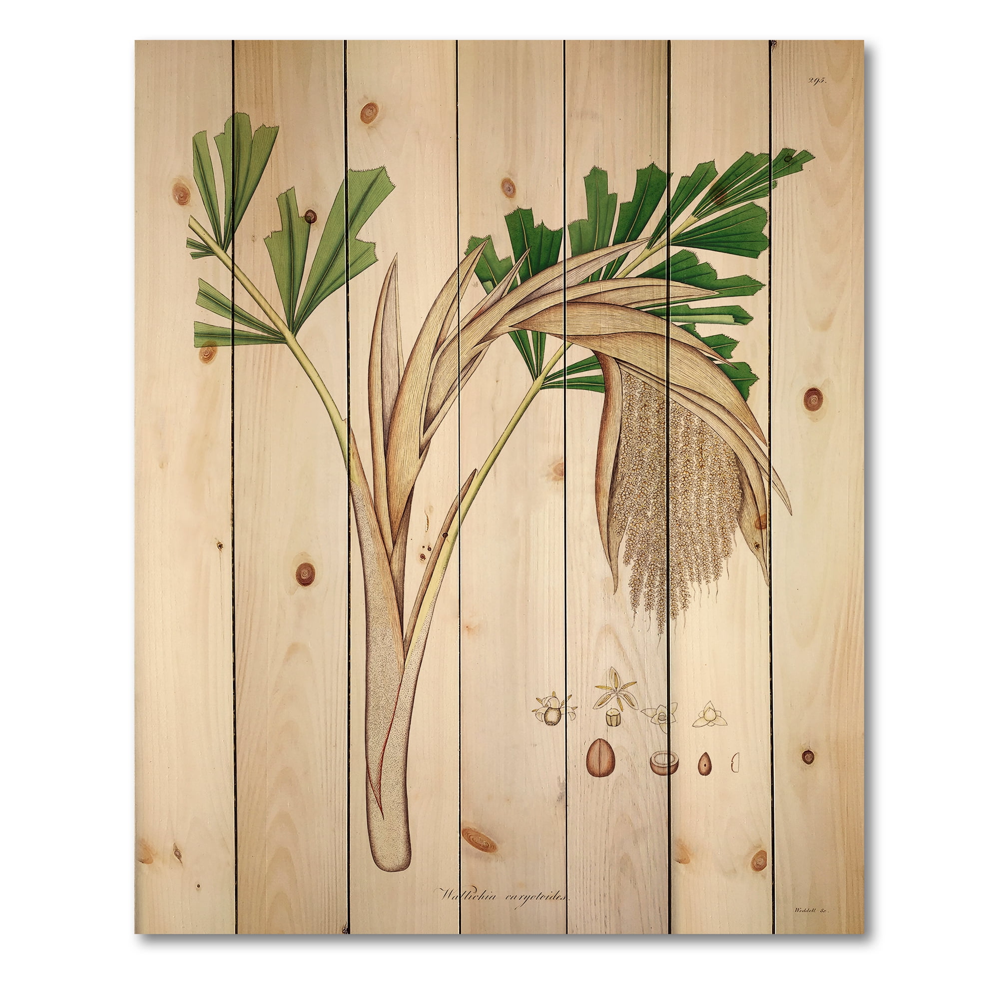 Designart 'Ancient Plant Life XV' Farmhouse Print on Natural Pine Wood
