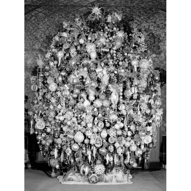 Beverly Hills Christmas Tree Rolled Canvas Art Science