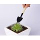 thumbnail image 3 of 3 piezas de herramientas de jardinería para plantas pequeñas, macetas suculentas, cactus de flores, kit de herramientas de bonsái, regalo para niños y adultos TUNC Sencillez, 3 of 5