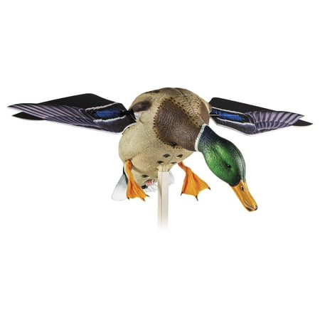 Avian-X Powerflight Mallard Smart-Motion Realistic Spinning Wing Duck Hunting Decoy - AVX-AVXDP101