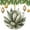 pattern-2291, variant on Christmas Ornaments Watercolor Botanical Leaf Funny Christmas Ornaments Succulent Plants Ornament Hanging Ornaments for Christmas Tree Decoration Xmas Day Home Party Decorations