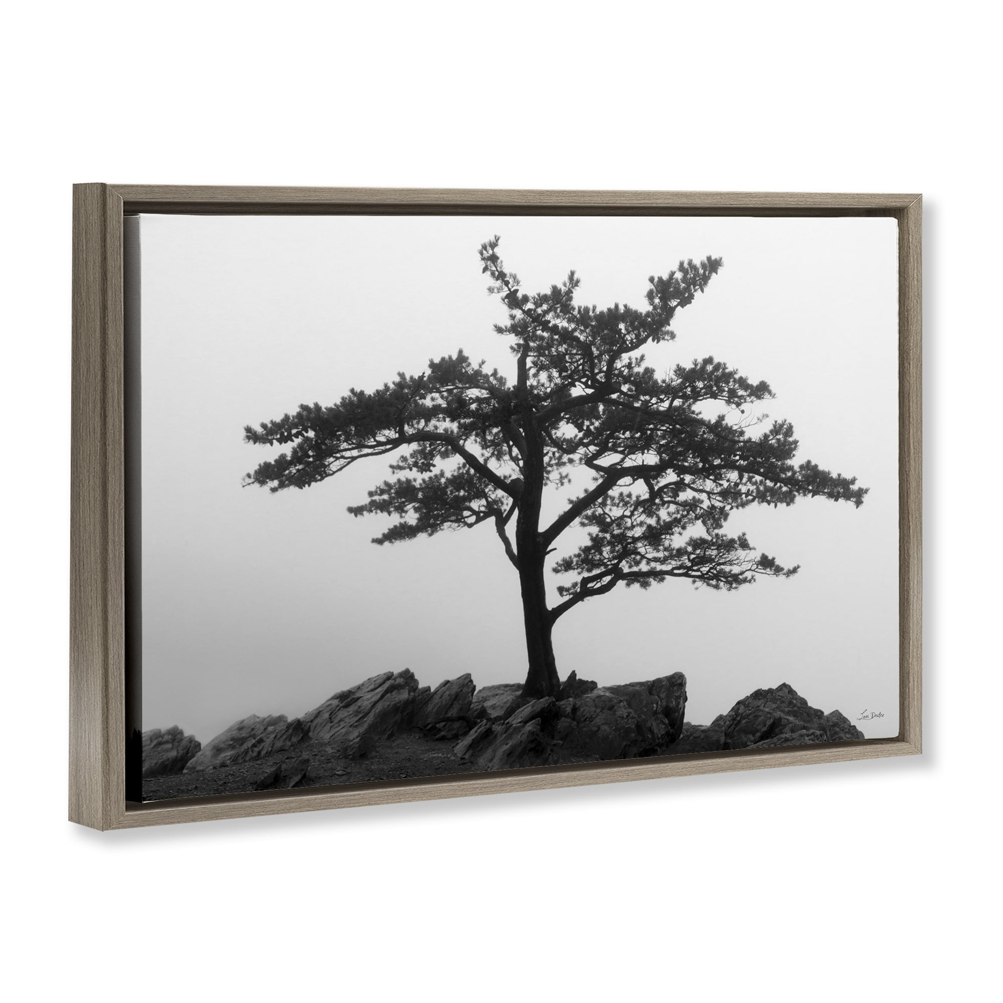 Stupell Industries Lone Tree on Rocks Landscape & Nature Photography Brown Floater Framed Canvas Art Print Wall Art, 31 x 21