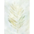 thumbnail image 2 of Lam, Vanna 12x14 Black Ornate Wood Framed with Double Matting Museum Art Print Titled - Breezy Fronds IV, 2 of 4