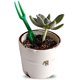 thumbnail image 5 of Mini juegos de herramientas manuales para plántulas de jardín, incluye herramienta manual de jardín para plantar bulbos, dispensador de flores para plantas, ver D, trasplante y exc, 5 of 5