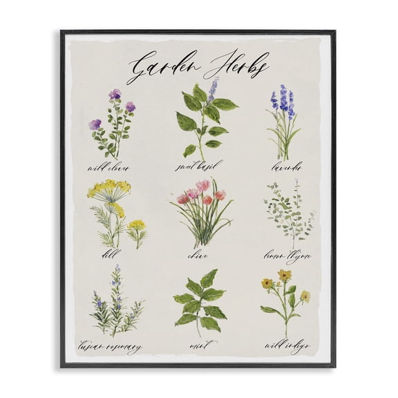 Stupell Industries Traditional Garden Herb Illustrated Chart Natural Kitchen Seasoning Black Framed Giclee Art, 11 x 14, by Sally Swatland