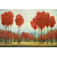 thumbnail image 2 of Marcon, Michael 14x11 White Modern Wood Framed Museum Art Print Titled - Autumn Reds, 2 of 4
