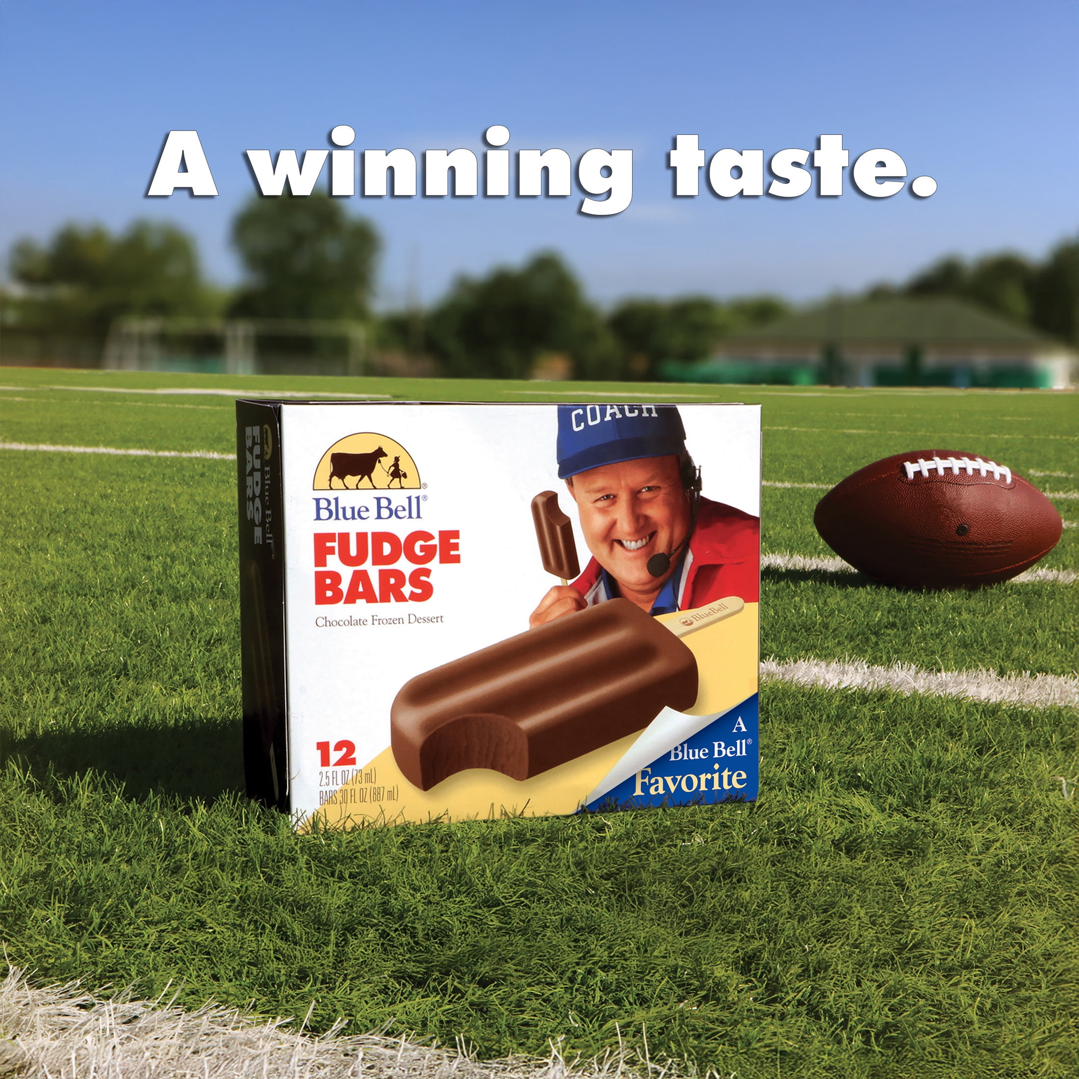 Blue Bell Chocolate Fudge Frozen Dairy Dessert Bars, 2.5 fl oz, 12 Count