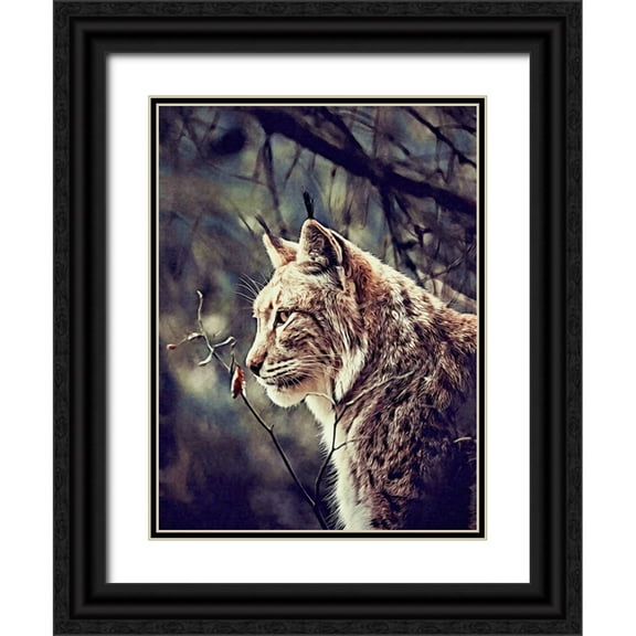 Alpenglow Workshop 12x14 Black Ornate Wood Framed with Double Matting Museum Art Print Titled - Lynx