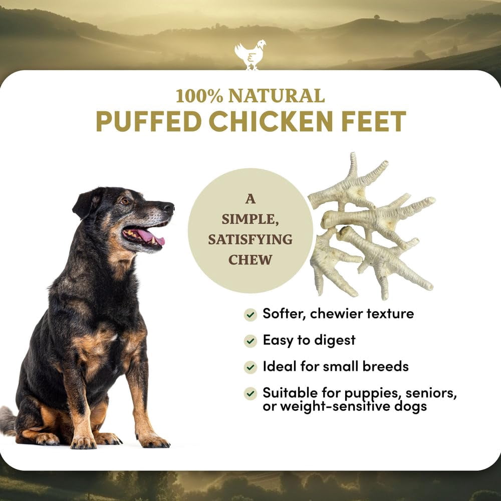 Oldfield Naturals Puffed Chicken Feet Dog Treats, Dehydrated Chicken Feet for Dogs, Light Crispy Chicken Chews, Single Ingredient High Protein Dog Snacks for Multi-Dog Homes, 4 lb 6 oz Bag