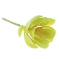 thumbnail image 3 of Decoración Sin Manchar Artificial Real Artificial de Del, 3 of 7