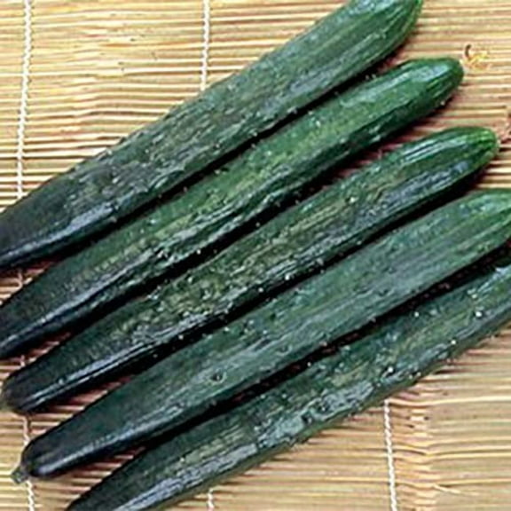 Cucumber Seeds - Tasty Green - Hybrid - 500 Mg Packet ~20 Seeds - Non-GMO, F1 Hybrid - Asian Garden Vegetable