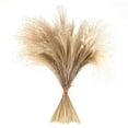 thumbnail image 2 of 100Pcs Rustic Dried Pampas Grass Reeds Arrangements Vase Filler, 2 of 10