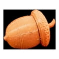 thumbnail image 3 of Fake Acorn Container for Hiding Geocaches, 3 of 5
