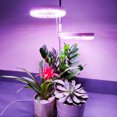 thumbnail image 3 of Indoor Small Plant Light Full Spectrum LED Plant Light Desktop Mini Plant Light Height Adjustable Plant Light with IPL & Sunlight in Single & Double Lamp Holder, 3 of 8