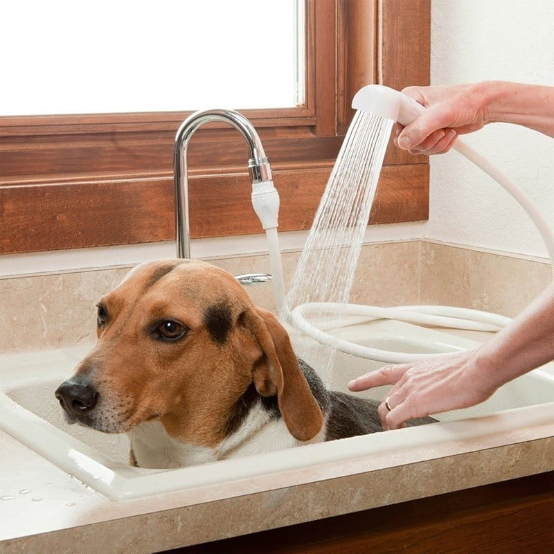 Dog bath spray 2025