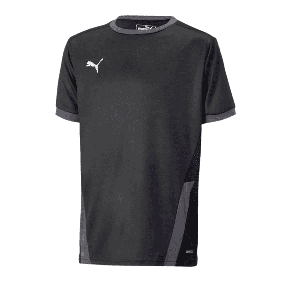 Puma Kids' Youth TeamGoal 23 Jersey Black/Asphalt Small
