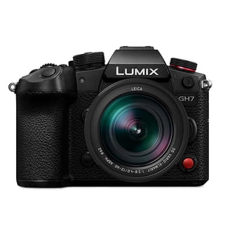 Panasonic Professional Digital Camcorder - Walmart.com
