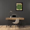 thumbnail image 4 of Fagalde, Jarman 20x24 Black Modern Framed Museum Art Print Titled - Heirloom Variety VI, 4 of 5