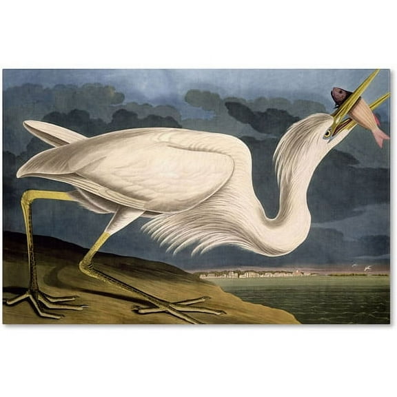 Trademark Fine Art John James Audubon Great White Heron Canvas Wall Art - 12x19