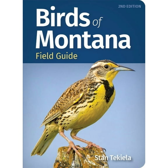 Bird Identification Guides Birds of Montana Field Guide, (Paperback)