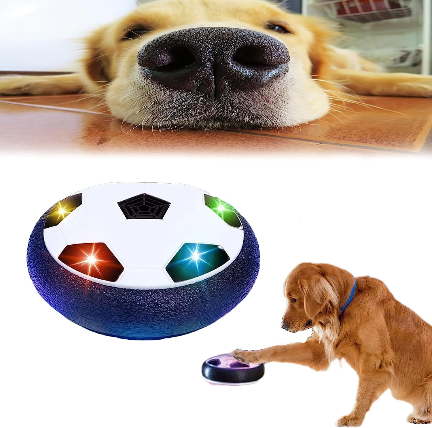 HandReed Active Gliding Disc Dog Toy, 2023 New Gliding Disc Dog Toy