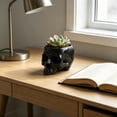 thumbnail image 6 of DefiDgd Resin Small Skull Shaped Planter Pot,Multi FunctionStorage Bowl for Candy Snacks Succulent Cactus,Gothic Desktop Ornament for Halloween Home Office Indoor Tabletop Decor(Black), 6 of 6