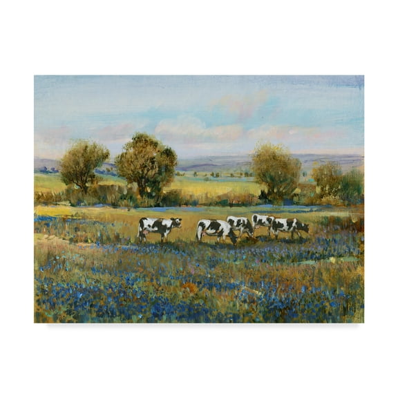 Trademark Fine Art 'Field of Cattle I' Canvas Art by Tim OToole