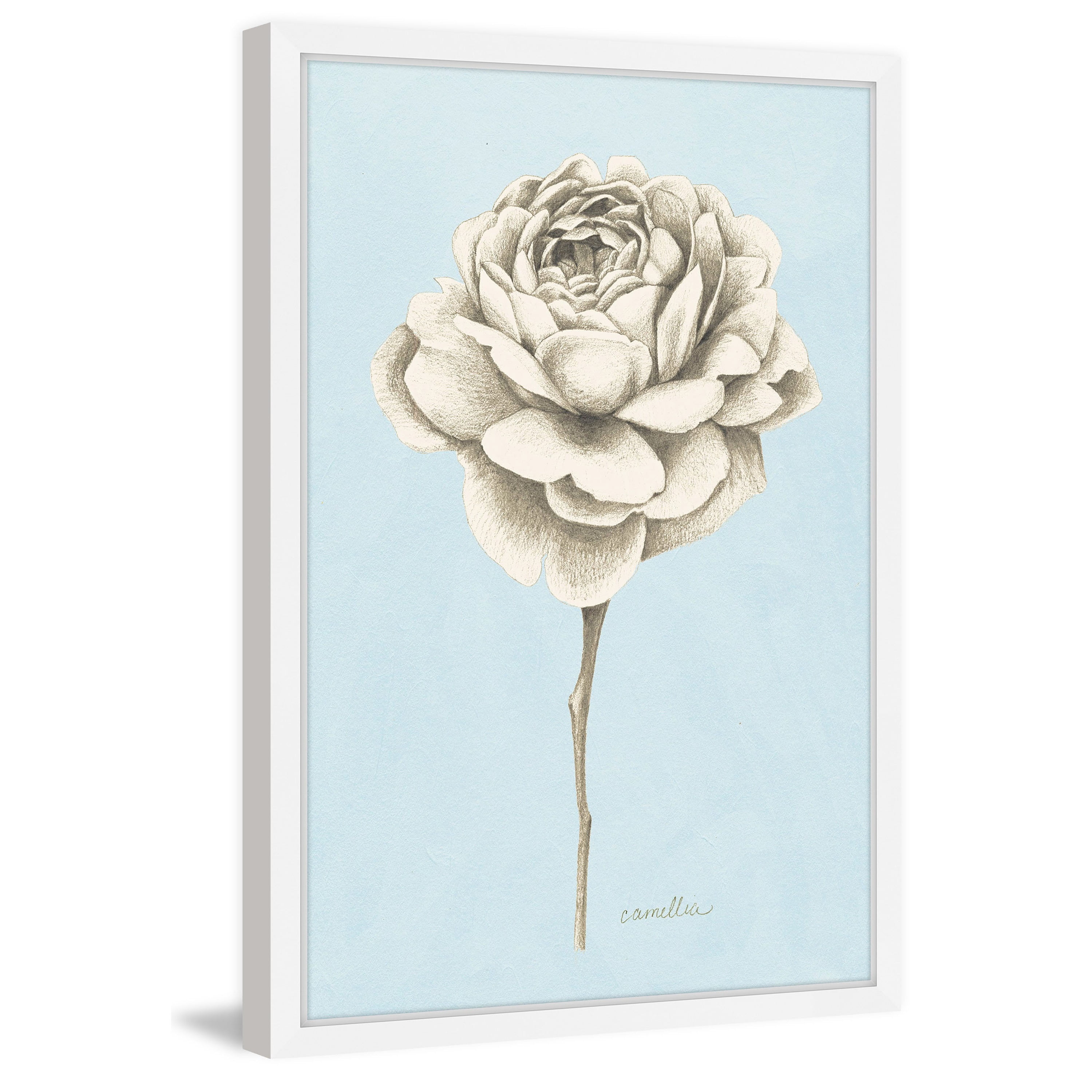 Marmont Hill "Botanical Study I" Framed Painting Print