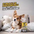 thumbnail image 2 of Furbidden Pet Stain Remover for Car & Home, Carpet & Upholstery Cleaner, Eliminates Pet Odors & Stains from Urine & Vomit, Multi-Surface Pet Odor Neutralizer - 16 oz, 2 of 4