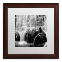 Trademark Fine Art "Velo de Novia" Canvas Art by Moises Levy White Matte, Wood Frame