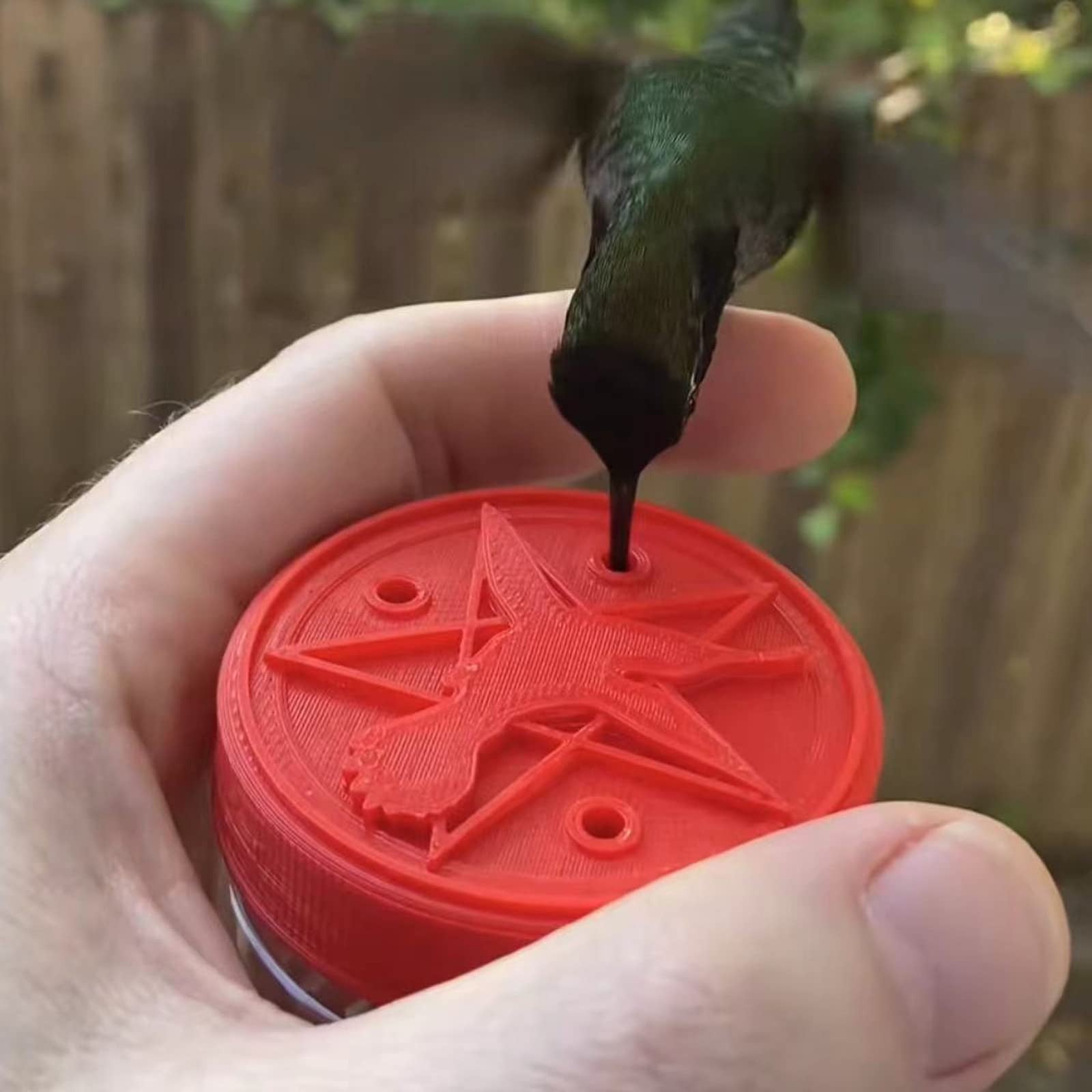 Gaiseeis Hand Hummingbird Feeders Portable Handheld Hummingbird Feeders
