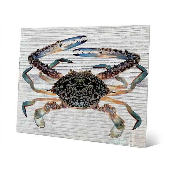 Tangelo Crab on Phthalo Plank | 20" x 24" Metal Wall Art